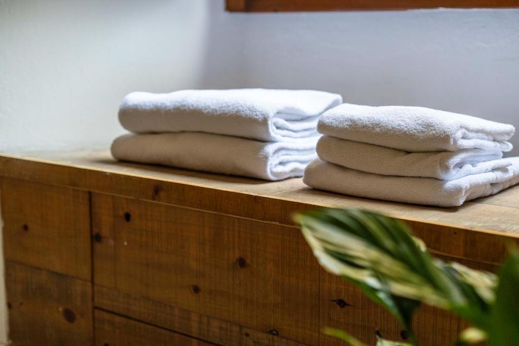 Puccinotti House Apartment Firenze Bagian luar foto